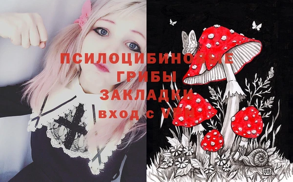 2c-b Волосово