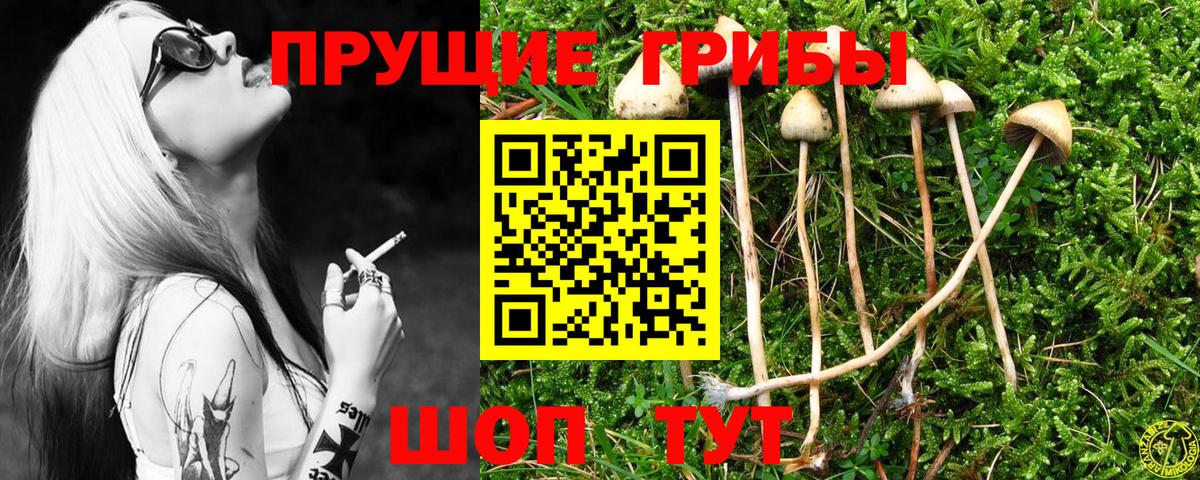 Галлюциногенные грибы MAGIC MUSHROOMS  Моршанск  Галлюциногенные грибы мухоморы 